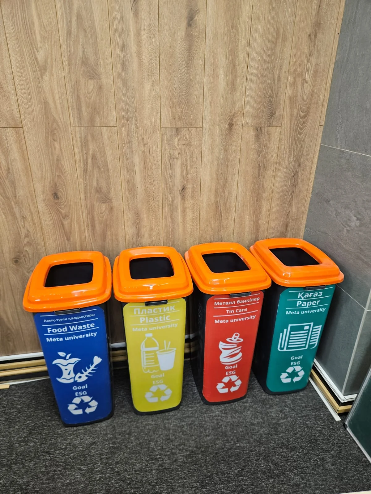 Responsible Consumption and Production