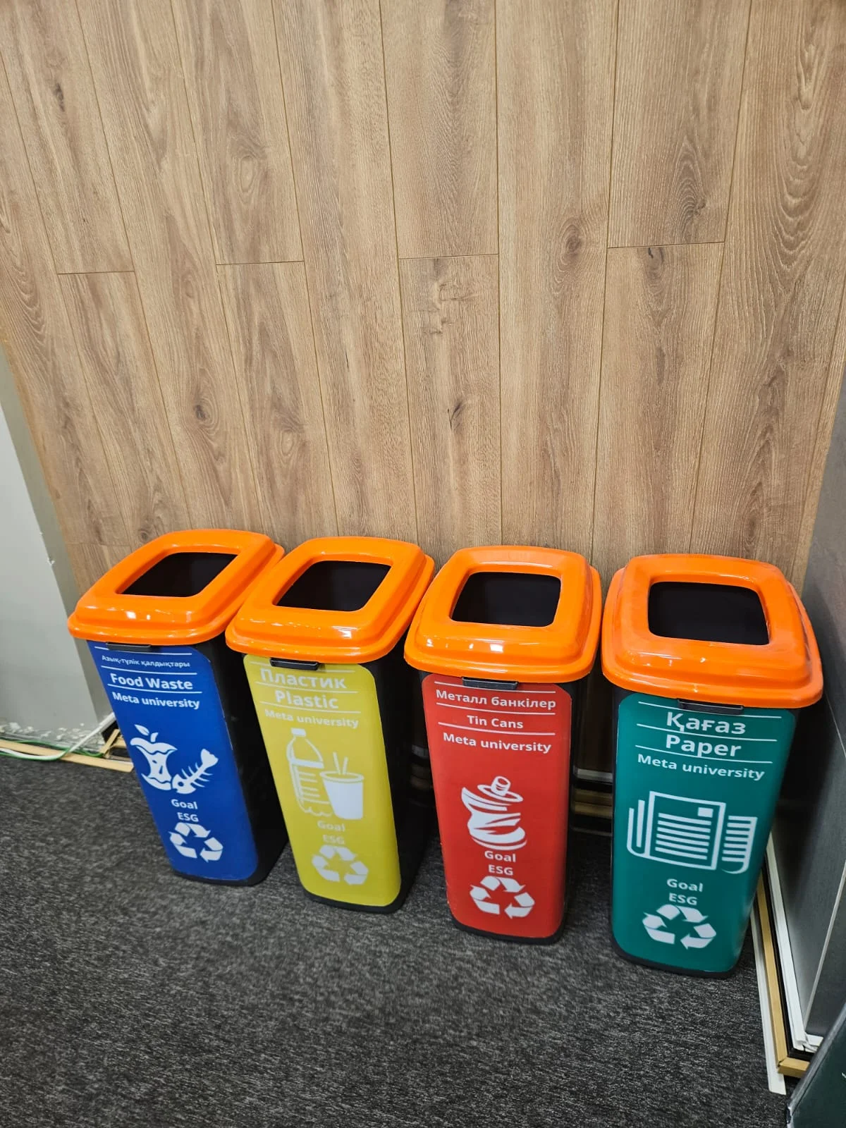 Responsible Consumption and Production